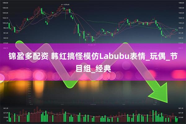 锦盈多配资 韩红搞怪模仿Labubu表情_玩偶_节目组_经典