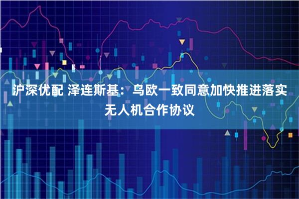 沪深优配 泽连斯基：乌欧一致同意加快推进落实无人机合作协议